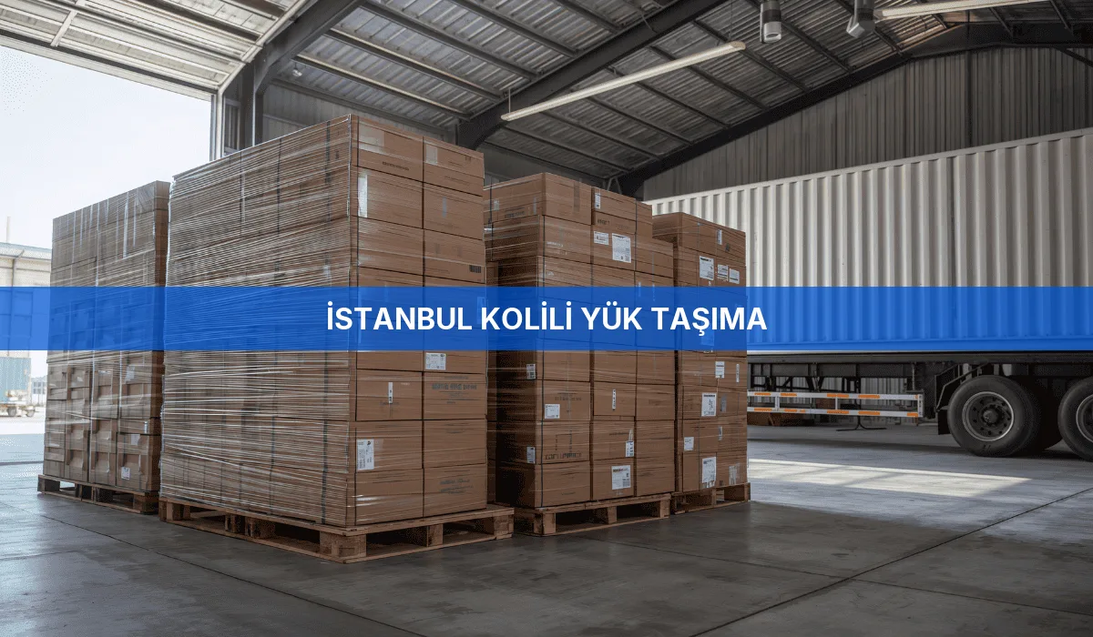 İstanbul Kolili Yük Taşıma